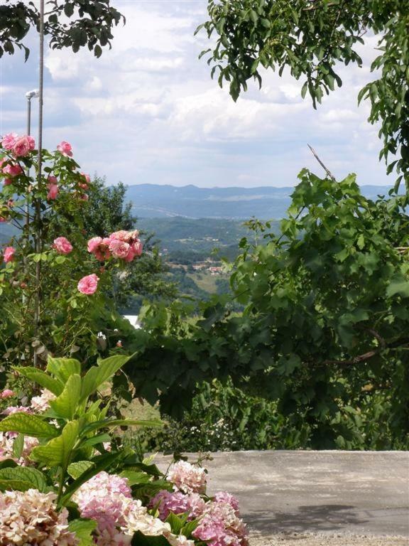 Apartman Vojskovic Gračišće Zewnętrze zdjęcie